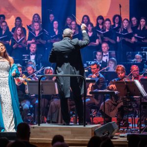 497515834_1306645438129690_6345054665431418923_n